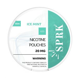 ICE MINT NICOTINE POUCHE