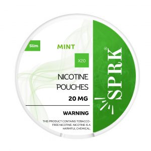 MINT NICOTINE POUCHE